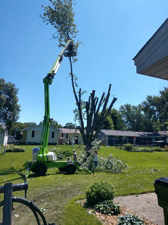Twin Pines Tree Care & Landscape Hillman, MN